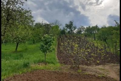 Casă cu 3 camere în Exterior Vest - 3