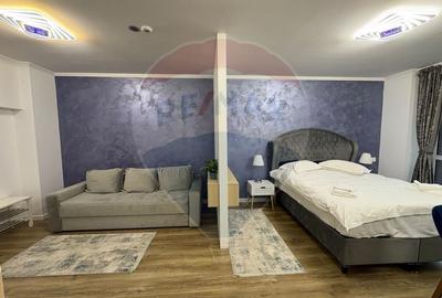 Studio luminos,55 mp, 2022 + parcare, Sinaia, introdus regim hotelier - 13