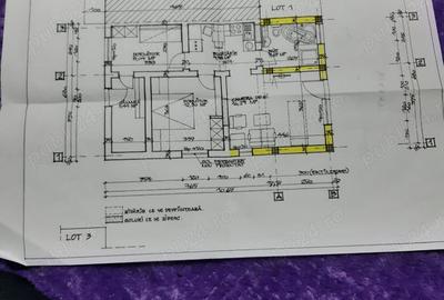 Casă în Valu lui Traian - 9