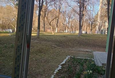 Apartament cu 2 camere decomandat în Dosu Bricii - 1