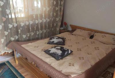 Casă cu 3 camere cu Teren 2000 Mp în Toplița - 9