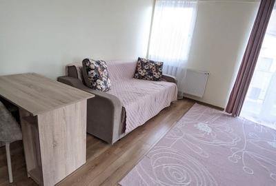 Apartament cu 2 camere semidecomandat în Borhanci - 10