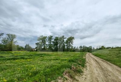 Teren de 6100 mp, în Central - 2