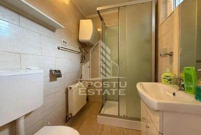 Apartament cu 1 camera la casa, pet friendly, zona Modern - 5