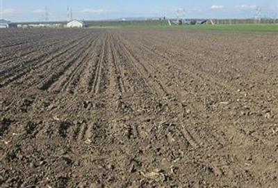 FILM! Teren intravilan, 10.000 mp, Grivitei, Brasov - 10