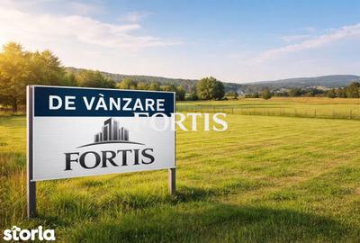 Teren de 3003 mp, în Sâmbăta de Sus - 1