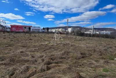 Teren Construcții intravilan de 4019 mp, în Est - 4