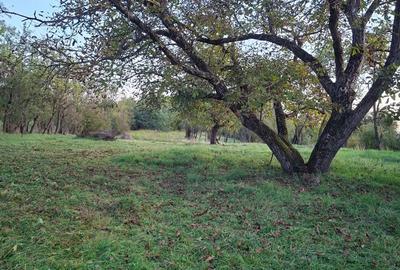 Teren si casa de vanzare in Mica, CJ - 1