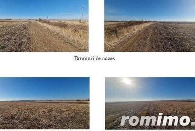 Teren de 4800 mp, în Grădinari