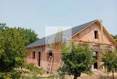 Teren de 16000 mp, în Belinț - 5