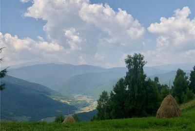 Spațiu comercial, de 1,500 mp, în Poiana Mărului - 9