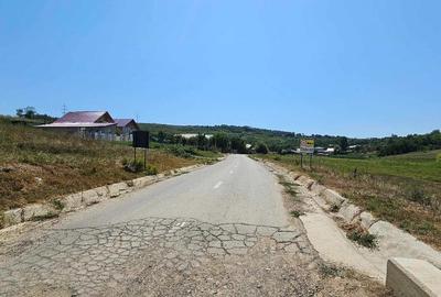 Teren 2.340mp, Dancas Miroslava, - 3