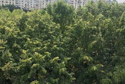 Teren de 353 mp, în Glina
