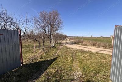 Spațiu comercial, în Păușa - 10