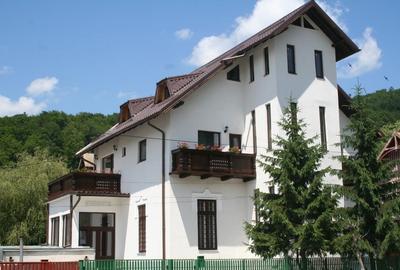 Etaj, Mansarda, Demisol -Vila deosebita pe Valea Prahovei -Busteni