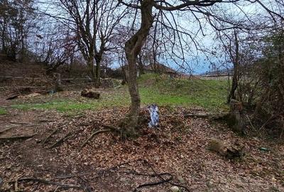 Teren intravilan de 854 mp, în Eșelnița - 7