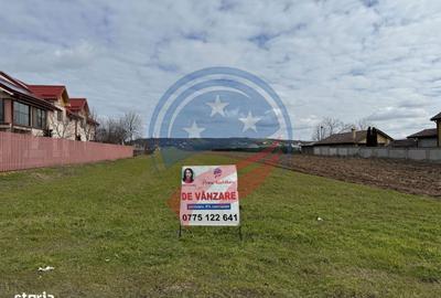 Spațiu comercial, în Coșoveni