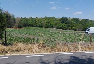 Casa la ?ara cu 5500mp teren Casa la ?ara cu 5500mp teren - 2