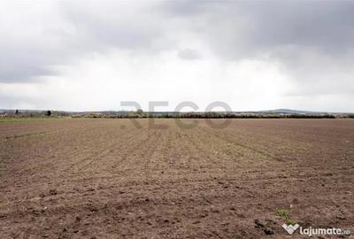 Teren de 5663 mp, în Oșorhei - 4