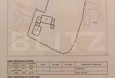 Casă cu 3 camere cu Teren 3000 Mp în Central