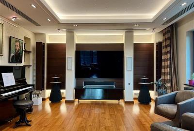 Apartament cu 8 camere decomandat în Herăstrău - 19