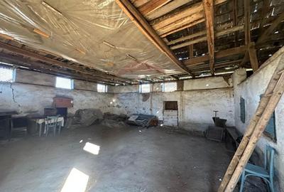 DE VANZARE- GOSPODARIE cu 95 arii teren - 10