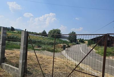 Teren de 600 mp, în Sărata - 3