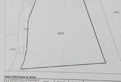 Teren de 9500 mp, în Zece Hotare - 2