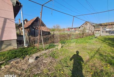 Casă cu 4 camere cu Teren 15000 Mp în Bichiș - 7