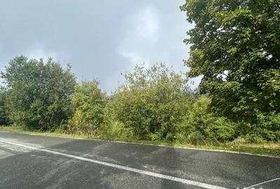 Teren de 608 mp, în Băișoara - 1