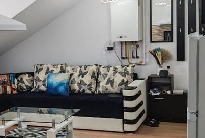 Apartament cu 2 camere semidecomandat în Balciu - 3