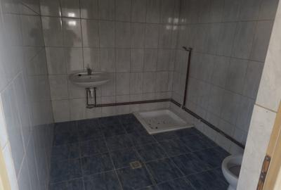 Spațiu comercial, de 600 mp, în Mârșa - 4