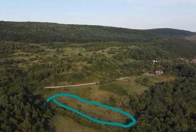 Teren de 5000 mp, în Feleacu - 2