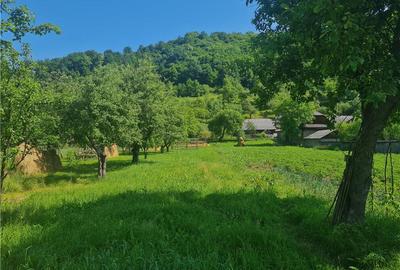 Casă în Săliște - 4