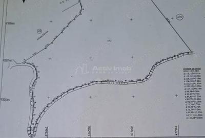 Teren de 69450 mp, în Arefu - 5