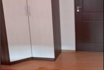 Apartament 2 camere mobilat si utilat,pretabil investitie,linga ASE, - 10