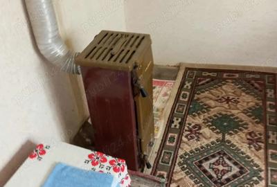 Vand casa cu gradina - 12