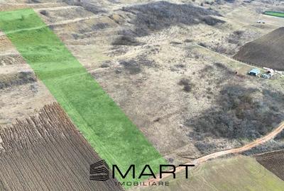 Teren agricol extravilan de 4500 mp, în Gușterița - 2