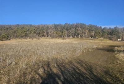 Teren Sanpetru 900mp Lempes - 5