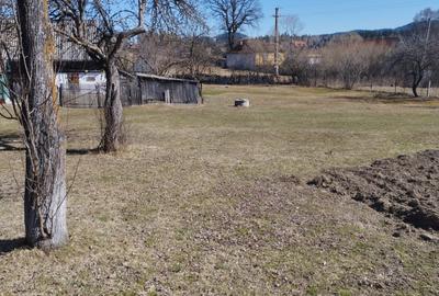 Casă individuală cu 3 camere cu Teren 2415 Mp în Voșlăbeni - 5