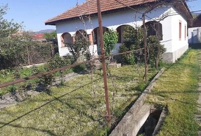 Casă cu 4 camere cu Teren 1200 Mp în Bâltișoara - 1