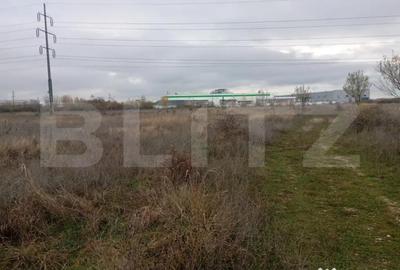 Teren de 9000 mp, în Priseaca - 3