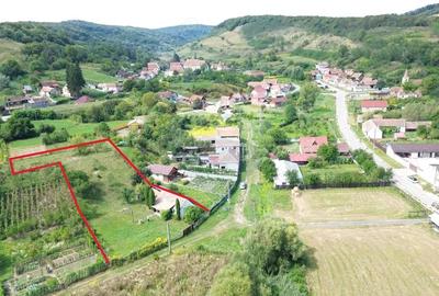 Casă cu Teren 1138 Mp în Moardăș - 3