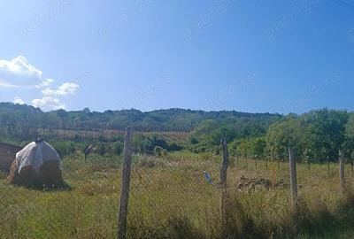 Teren de 3500 mp, în Central - 5