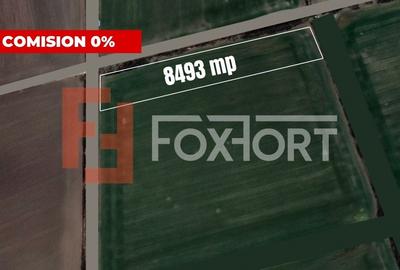 COMISION 0% Teren extravilan agricol, Sacalaz - 8493mp, 2 fronturi - 2
