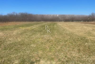 Teren Construcții intravilan de 2500 mp, în Florești - 3