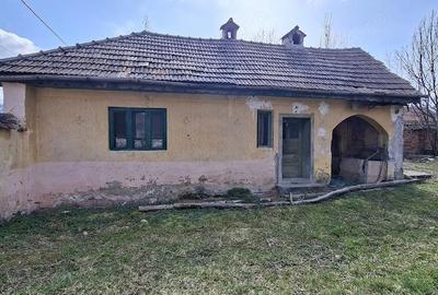 Casă cu 4 camere cu Teren 3000 Mp în Central - 6