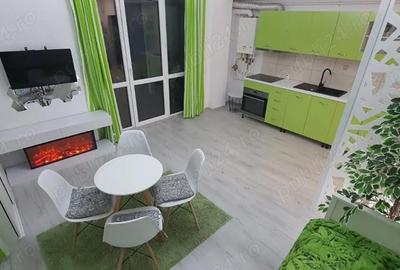 Garsonieră semidecomandată în Roșu - 4