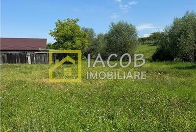 Casa parter (caramida) cu anexa (BCA) pe un teren 1180 mp, sat Strugari, jud Bac - 3