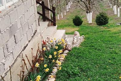 Casă cu 3 camere cu Teren 2800 Mp în Boțești - 6